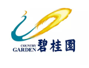 滨湖碧桂园地产